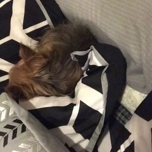 Meet your Posher, Marco